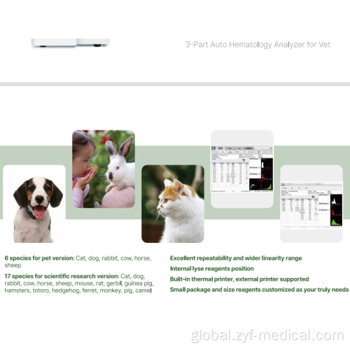 Fully Auto Veterinarian Blood Analyzer Veterinarian lab blood analyzer for PET Factory